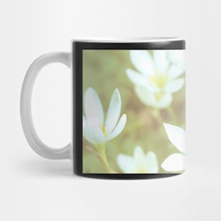 White Crocus Flowers Mug